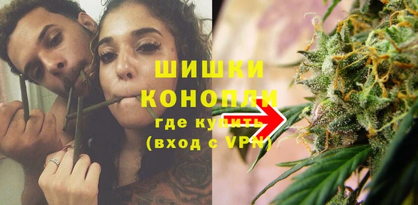 ПСИЛОЦИБИНОВЫЕ ГРИБЫ Балахна