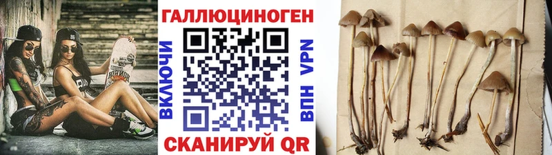 Псилоцибиновые грибы Cubensis  наркота  Усинск 